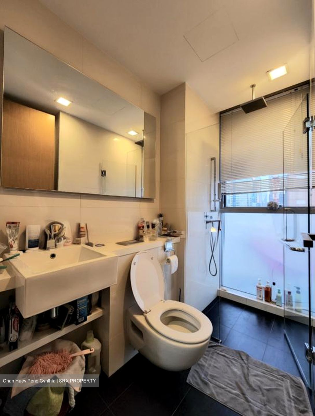 Lumiere (D2), Apartment #520659141